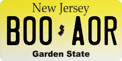 NJ license plate B00AOR