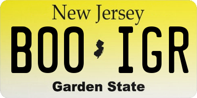 NJ license plate B00IGR