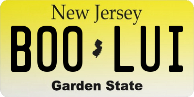 NJ license plate B00LUI