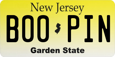 NJ license plate B00PIN