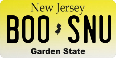 NJ license plate B00SNU