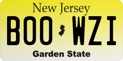 NJ license plate B00WZI