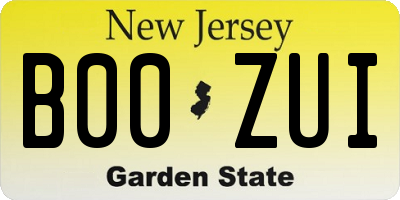NJ license plate B00ZUI