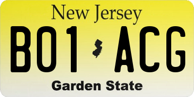 NJ license plate B01ACG