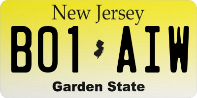 NJ license plate B01AIW