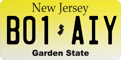 NJ license plate B01AIY