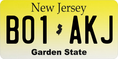 NJ license plate B01AKJ