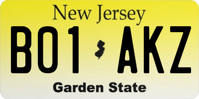 NJ license plate B01AKZ