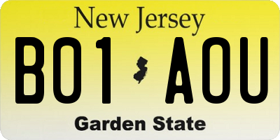 NJ license plate B01AOU