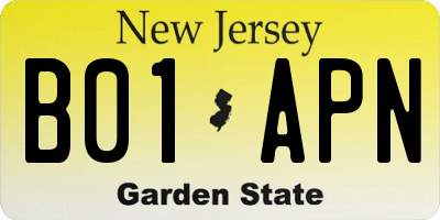 NJ license plate B01APN