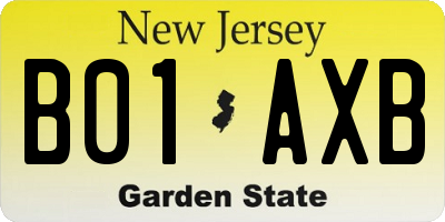 NJ license plate B01AXB