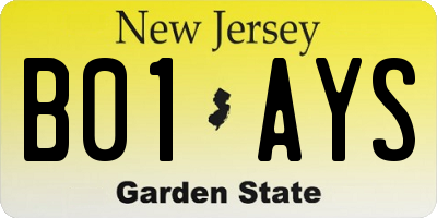 NJ license plate B01AYS