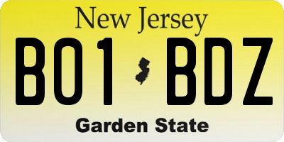 NJ license plate B01BDZ