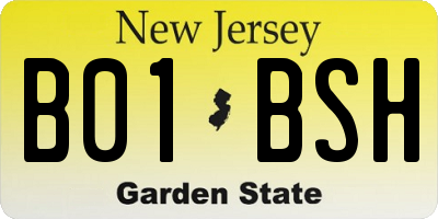 NJ license plate B01BSH