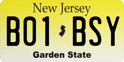 NJ license plate B01BSY