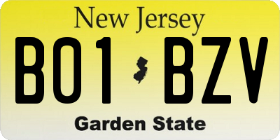 NJ license plate B01BZV