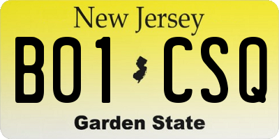 NJ license plate B01CSQ