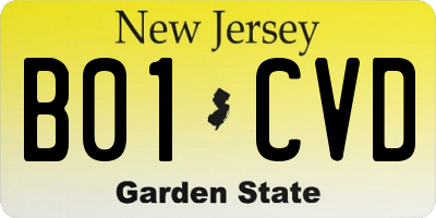 NJ license plate B01CVD