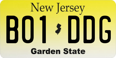 NJ license plate B01DDG