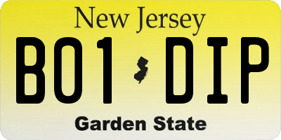 NJ license plate B01DIP