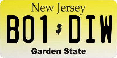 NJ license plate B01DIW