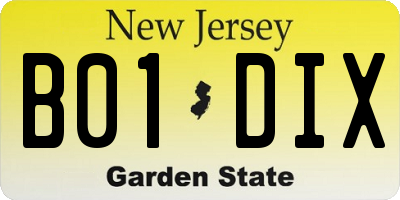NJ license plate B01DIX