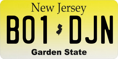 NJ license plate B01DJN