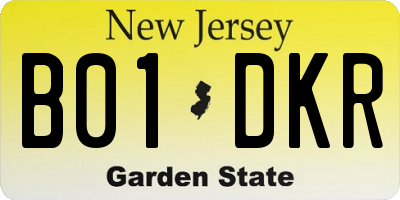 NJ license plate B01DKR