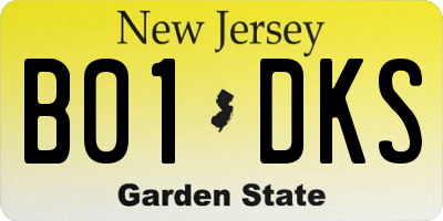 NJ license plate B01DKS