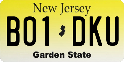 NJ license plate B01DKU
