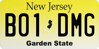 NJ license plate B01DMG
