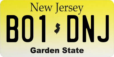 NJ license plate B01DNJ
