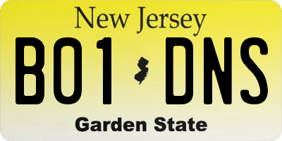 NJ license plate B01DNS