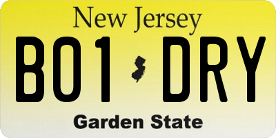 NJ license plate B01DRY