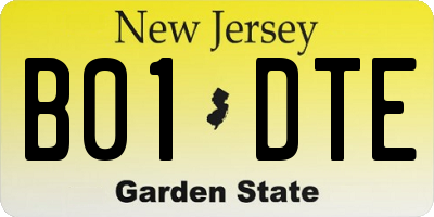 NJ license plate B01DTE