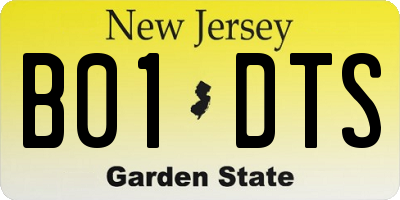NJ license plate B01DTS