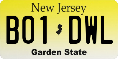 NJ license plate B01DWL