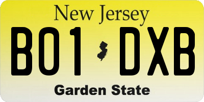 NJ license plate B01DXB