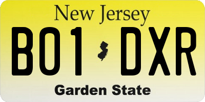 NJ license plate B01DXR