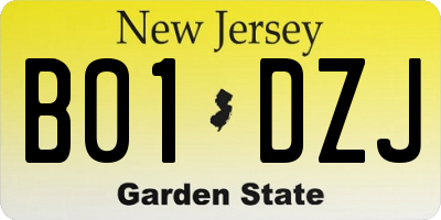 NJ license plate B01DZJ
