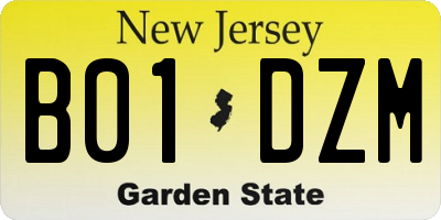 NJ license plate B01DZM