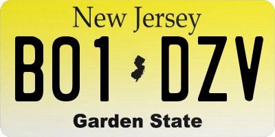 NJ license plate B01DZV