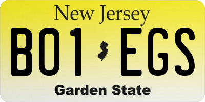 NJ license plate B01EGS