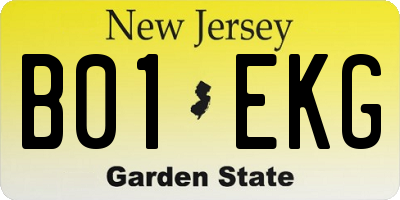 NJ license plate B01EKG