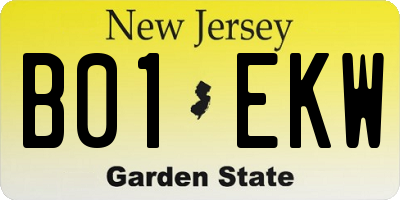 NJ license plate B01EKW