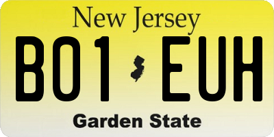 NJ license plate B01EUH