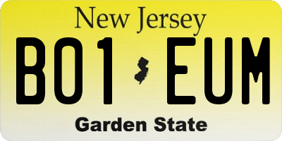 NJ license plate B01EUM