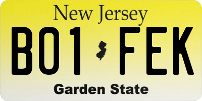 NJ license plate B01FEK