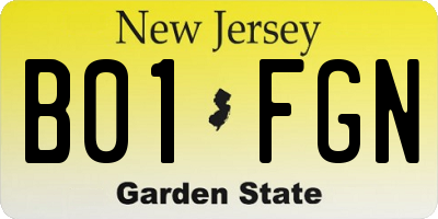 NJ license plate B01FGN