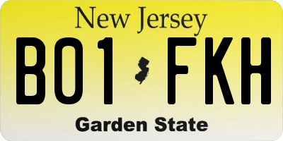 NJ license plate B01FKH